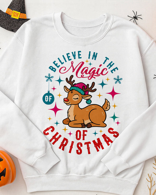 Sweater Believe In The Magic Of Christmas GSW0114